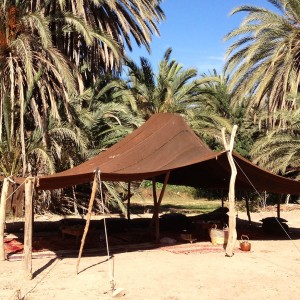 Palmeraie de Tioute à Taroudant